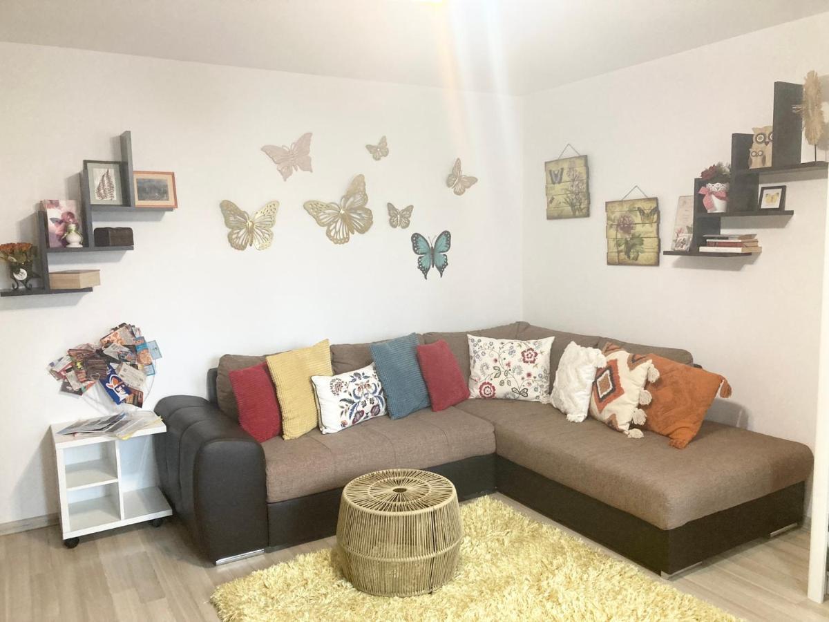 Sweet Butterflies Residence Brasov Exterior photo