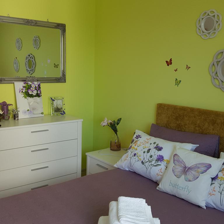 Sweet Butterflies Residence Brasov Exterior photo