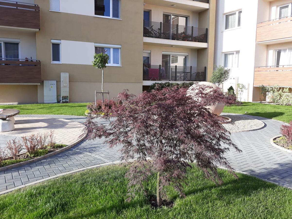 Sweet Butterflies Residence Brasov Exterior photo