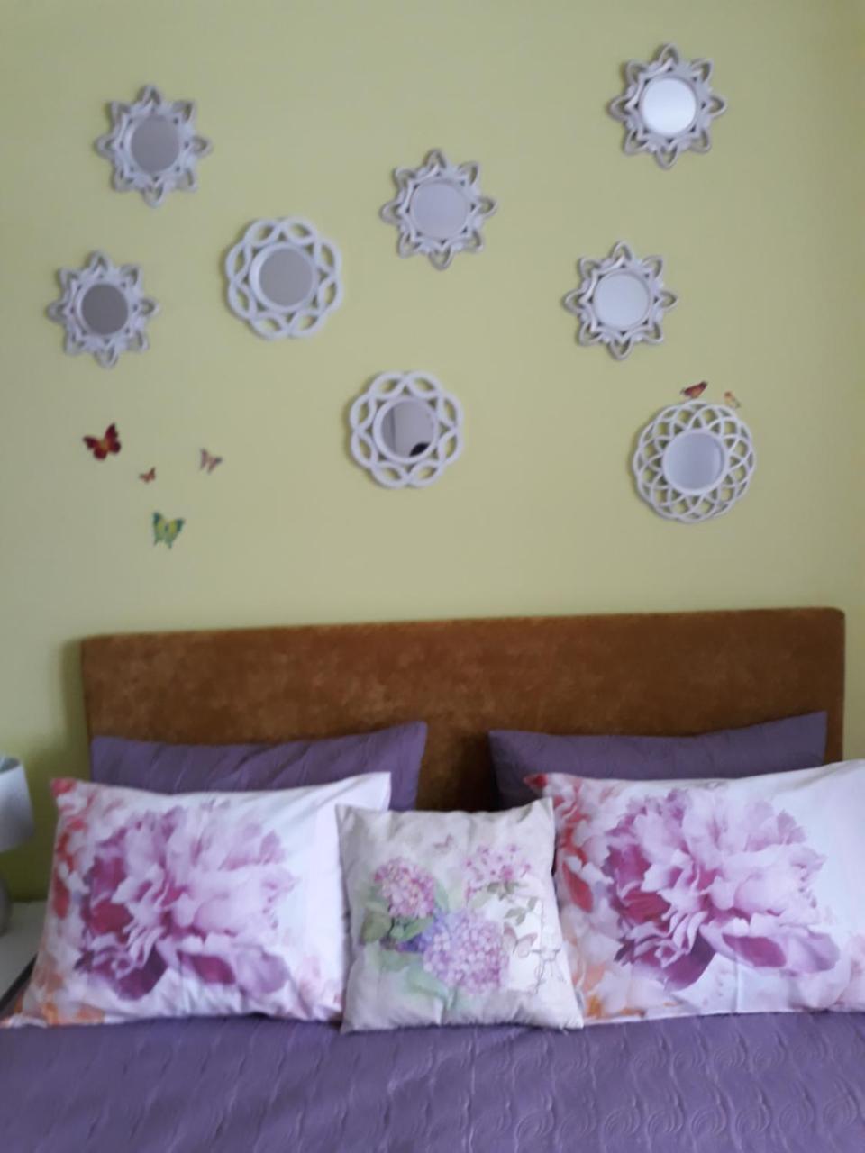 Sweet Butterflies Residence Brasov Exterior photo